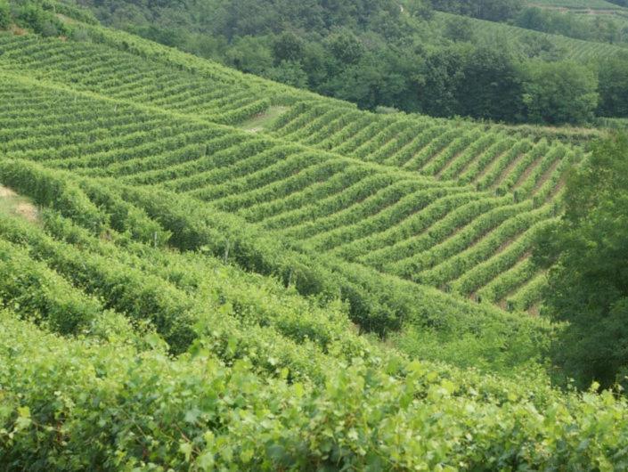 Cascina In Alto Piemonte / Piedmont Countryhouse Lozzolo Eksteriør bilde